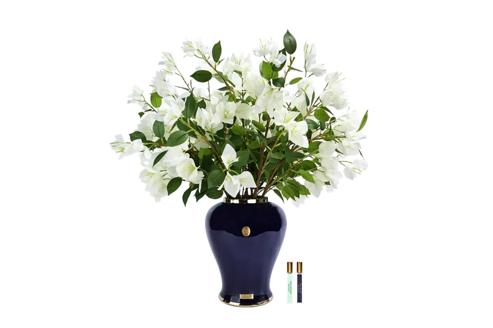 Côte Noire Imperial IMPB01 bougainvillée urne indigo blanc 70cm