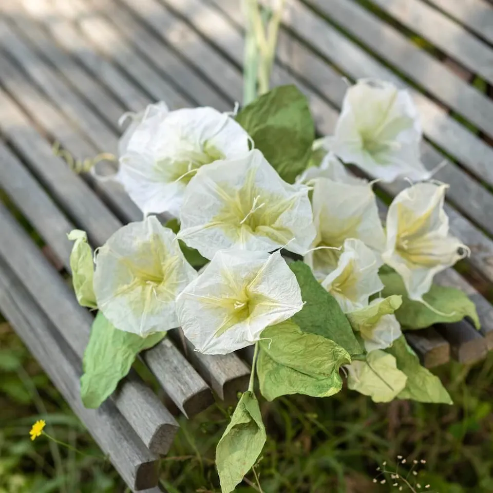 Flowrette Fleurs en papier Morning Glory blanc vert fleur papier x1
