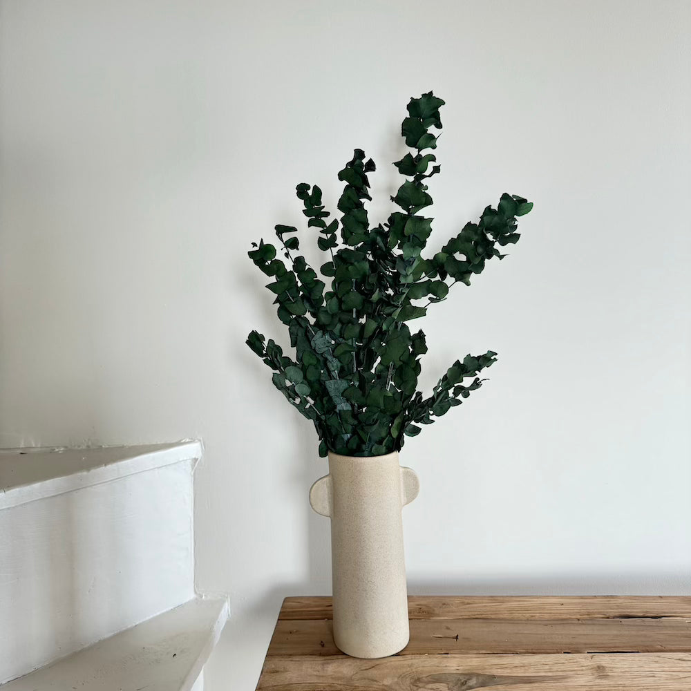 Flowrette Eucalyptus Stuartiana Vert Botte Fleurs Séchées x1