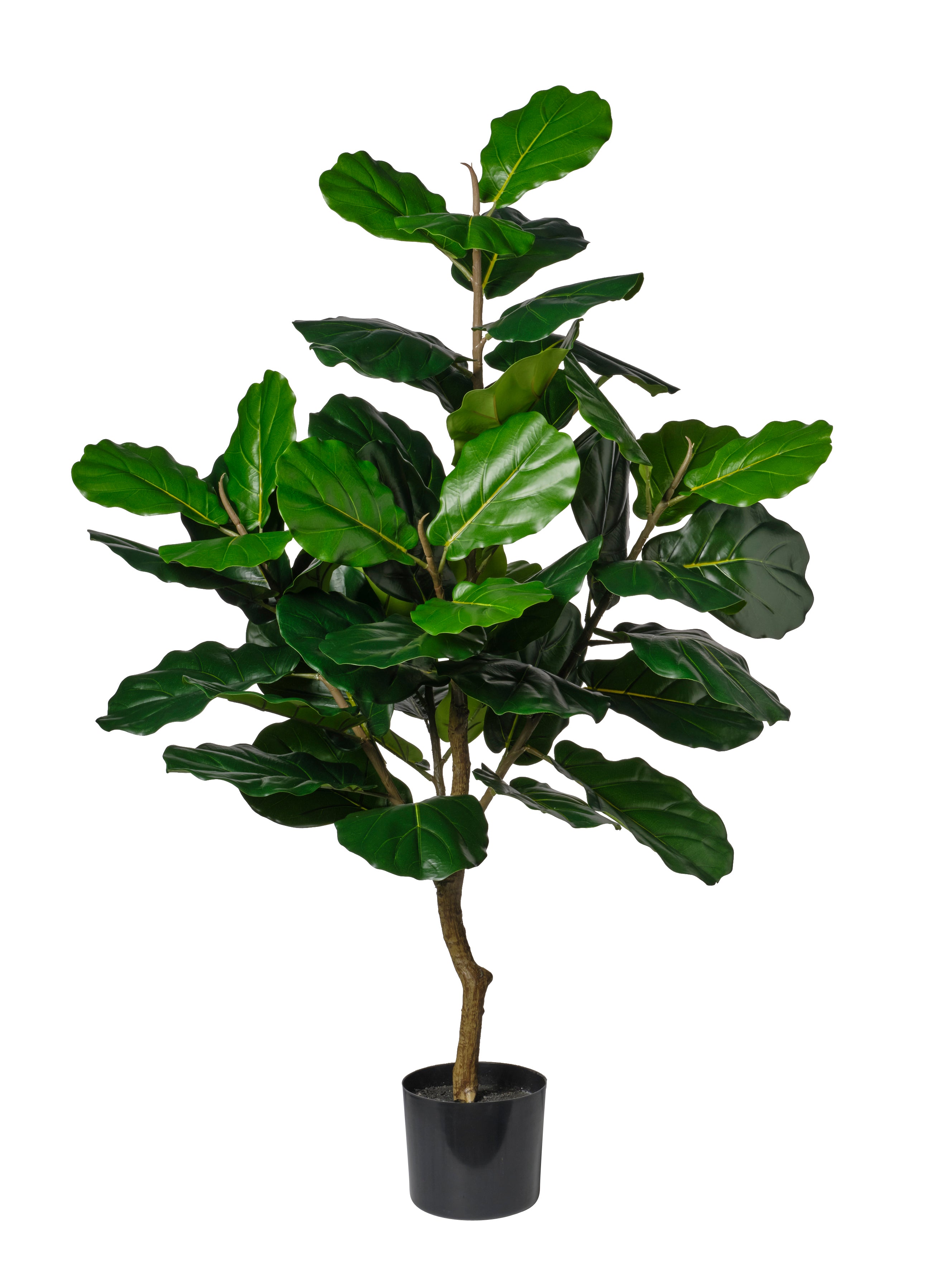 Feuillazur Rungis Ficus plante artificielle verte 190 cm sans entretien
