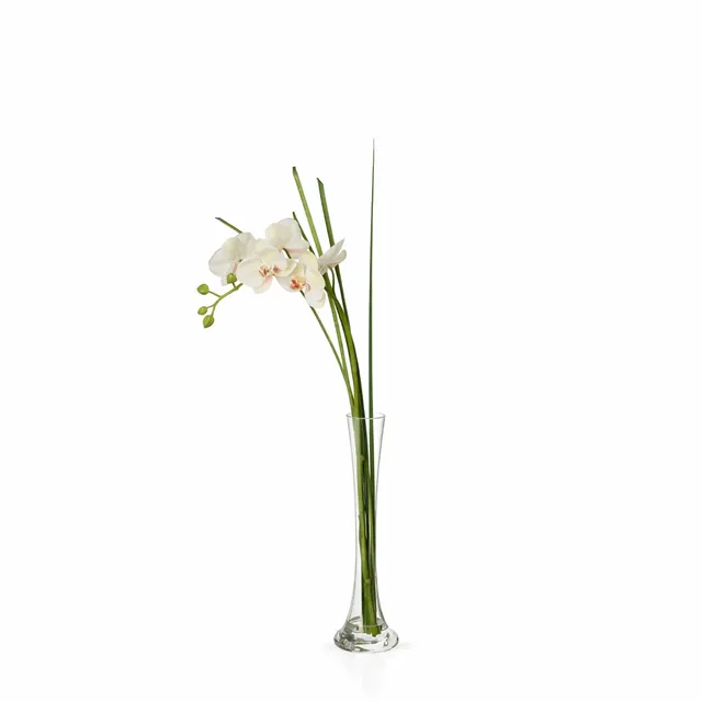 Sia Home Bouquets Artificiels Orchidée illusion eau crème 60 cm