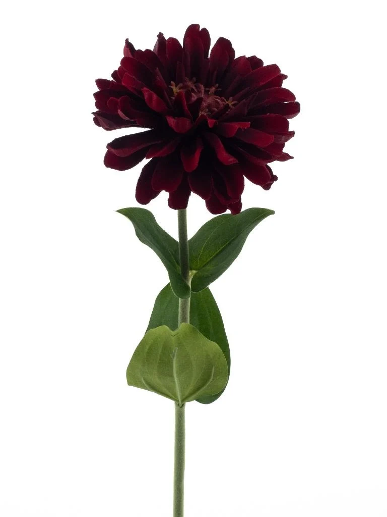 Feuillazur Rungis Zinna Fleur Artificielle Rose 58 cm