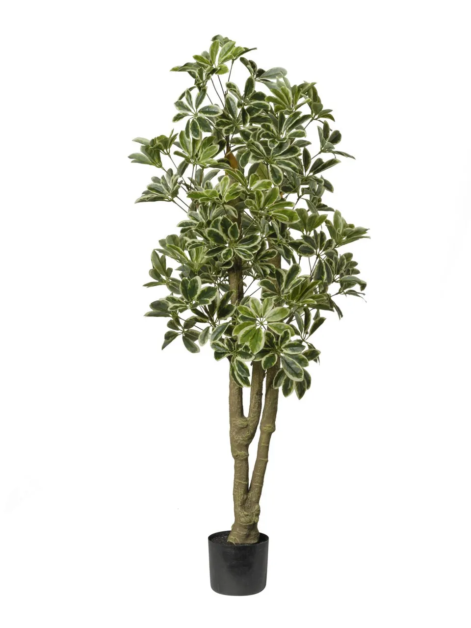 Feuillazur Rungis Schefflera plante artificielle verte