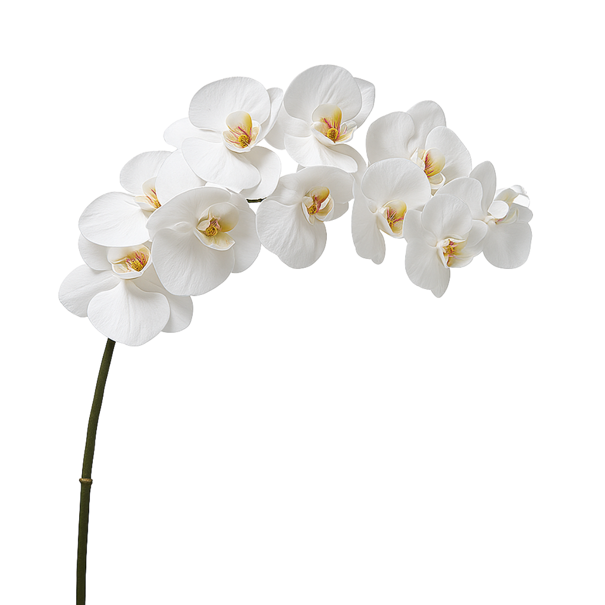 Sia tige orchidée artificielle blanche 100 cm premium
