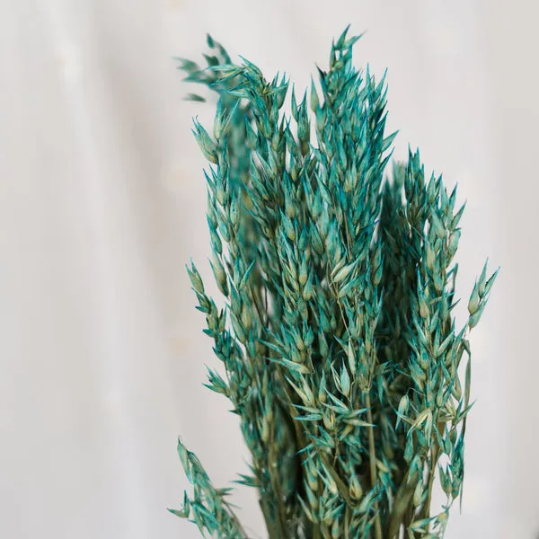 Flowrette Avoine Blue Oat botte séchée bleu pétrole