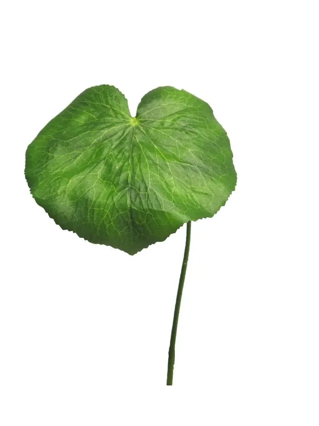 Feuillazur Rungis Feuille de géranium verte 10 cm feuillage artificiel
