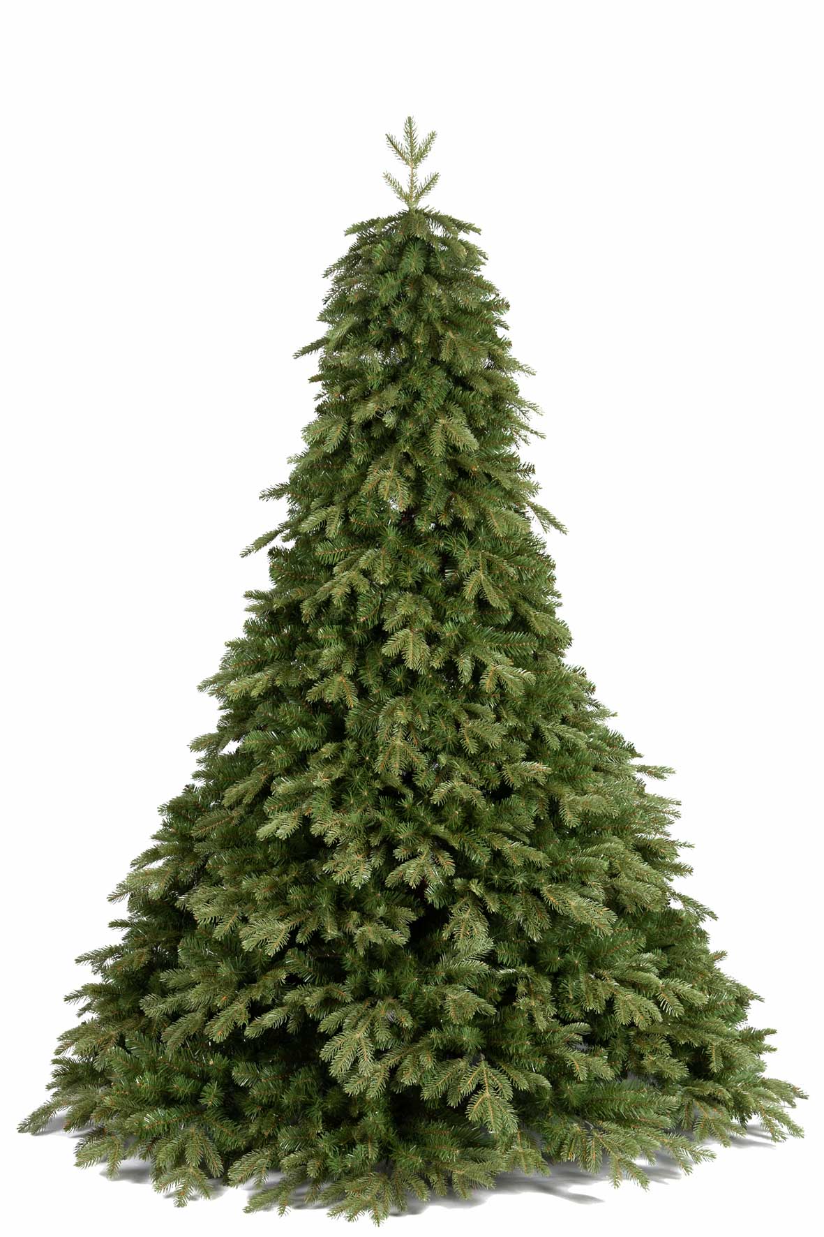 Feuillazur Rungis Sapin Pandora sapin artificiel 210 cm
