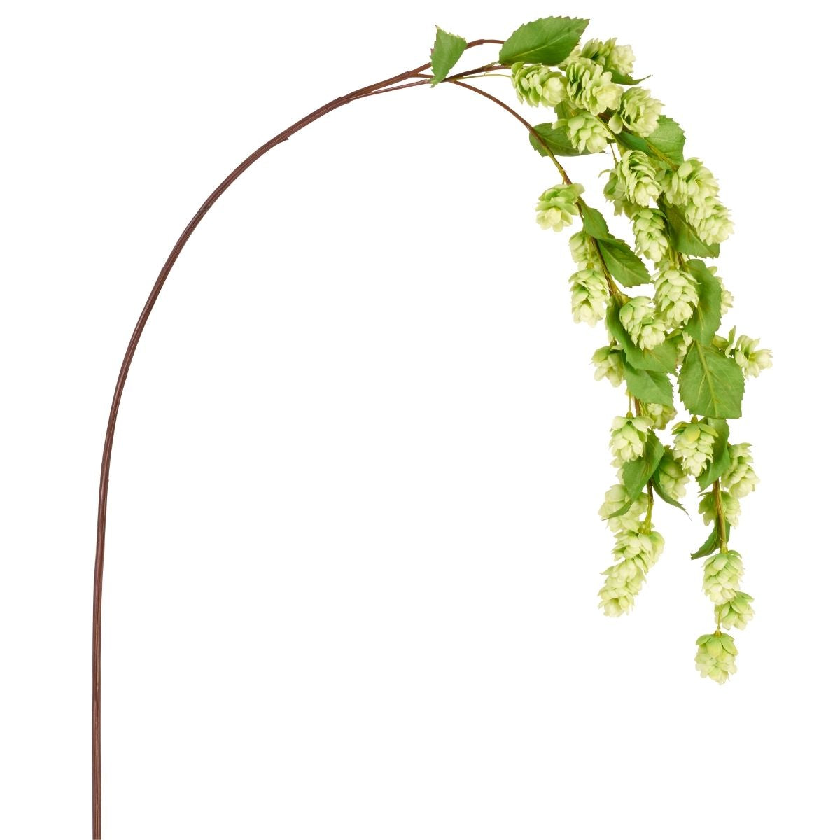 Sia Home Houblon Tombante tige artificielle blanc 129 cm