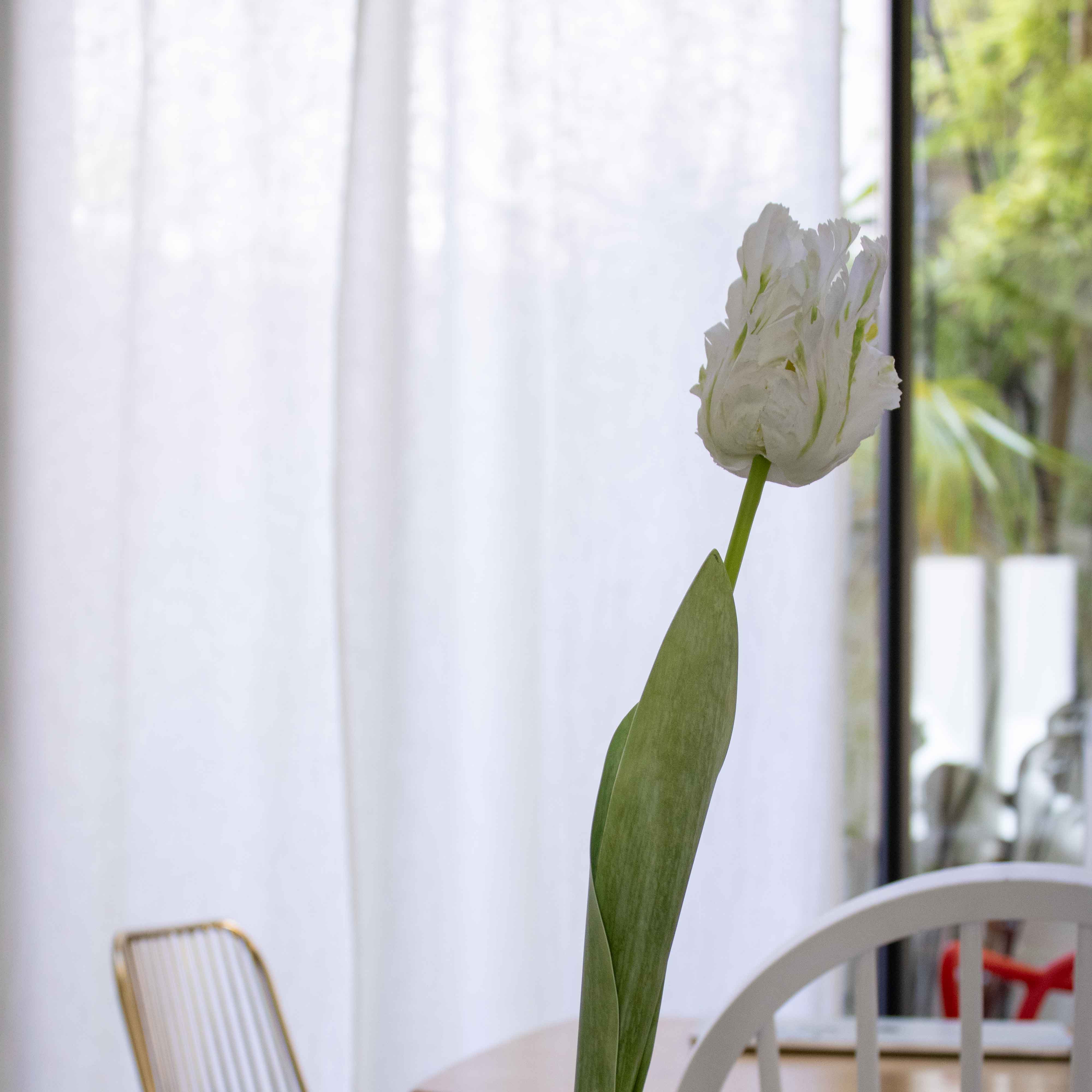 Flowrette Fleurs artificielles tulipe perroquet blanche x1