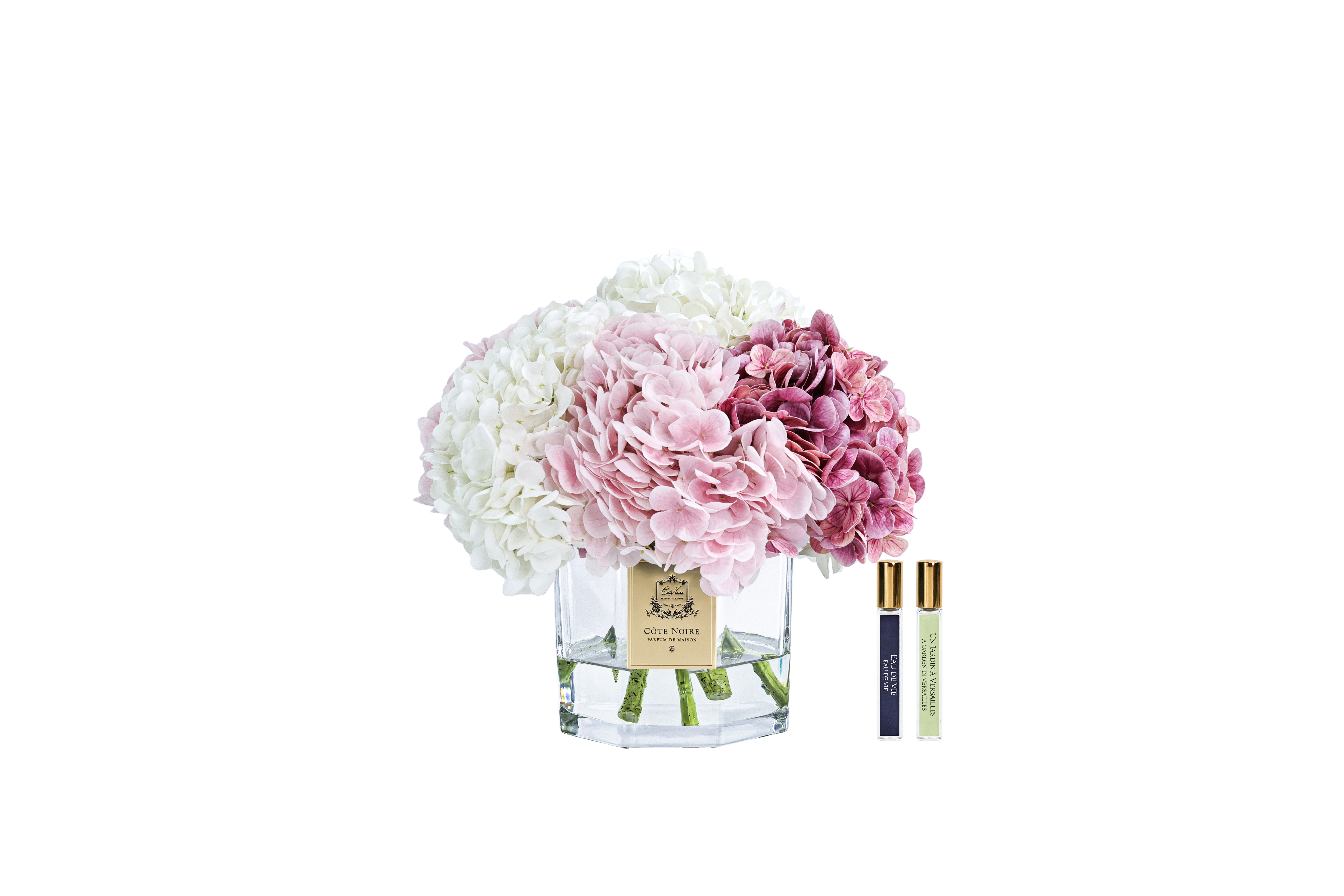 Côte Noire Hydrangeas CHB03 hortensia rose bouquet