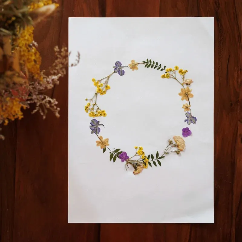 Flowrette Ronde Printanière A4 herbier fleurs pressées