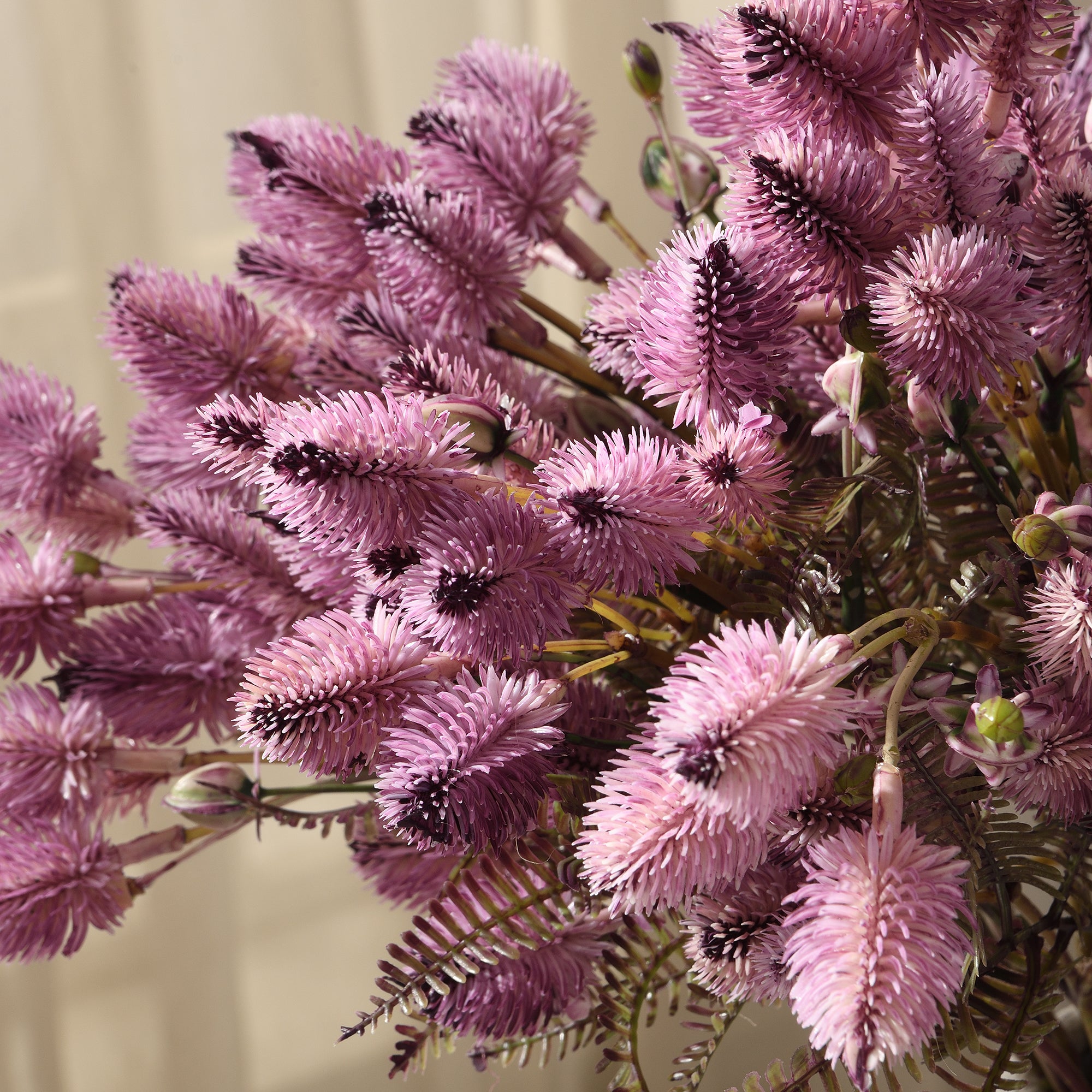 Sia Home Tiges fleurs Chardon 50 cm marron