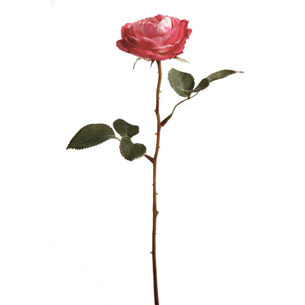 Sia Home Tige de Rose Tea fleur artificielle 33 cm rouge