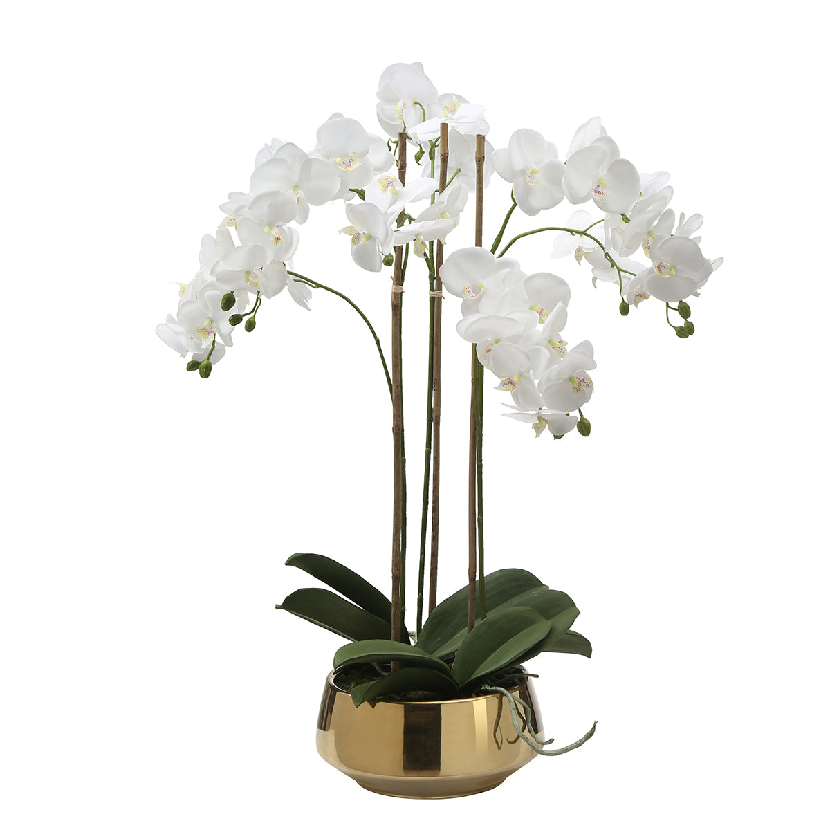 Sia Lena composition orchidée artificielle blanc vase doré