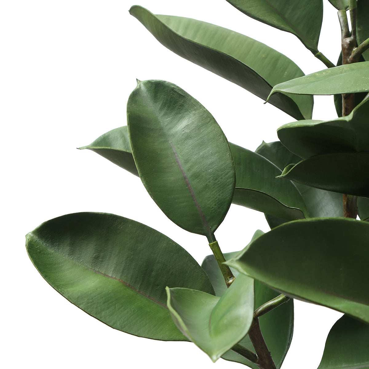 Sia Home Ficus arbre artificiel vert 115 cm en pot noir
