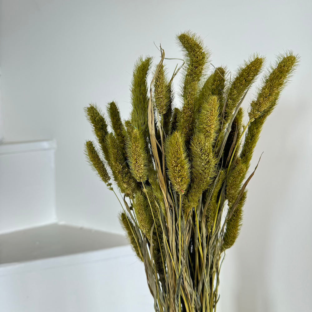 Flowrette Botte Sétaire Vert Olive fleurs séchées x1