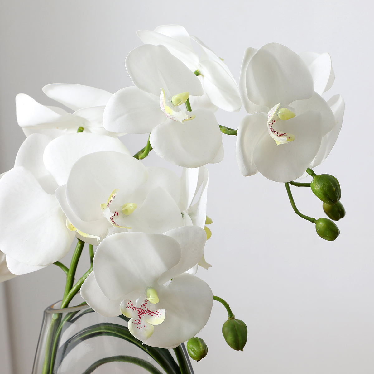 Sia Home Compositions florales Orchidée vase 29cm blanc