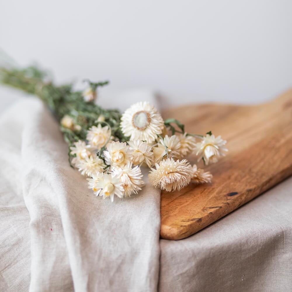 Flowrette Helichrysum blanc botte fleurs séchées x1