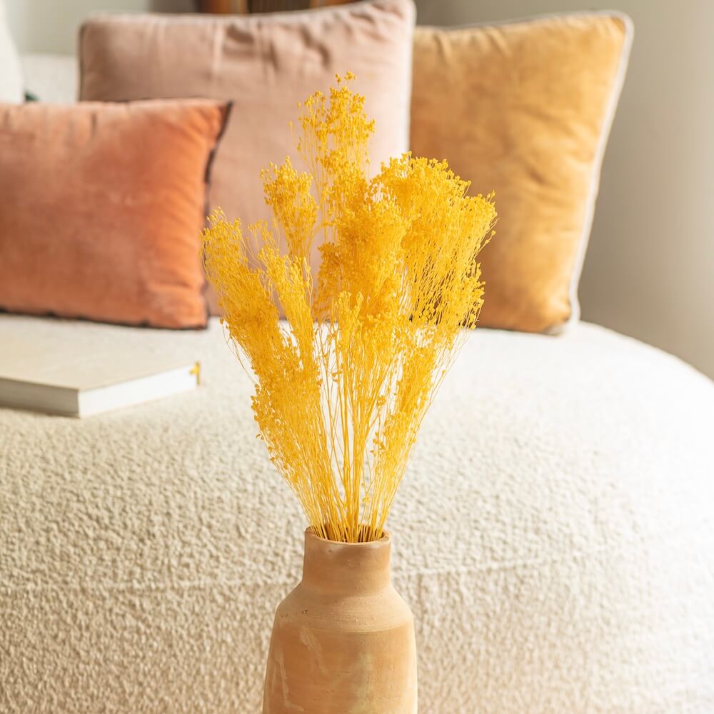 Flowrette Broom Bloom botte fleurs séchées jaune clair x1