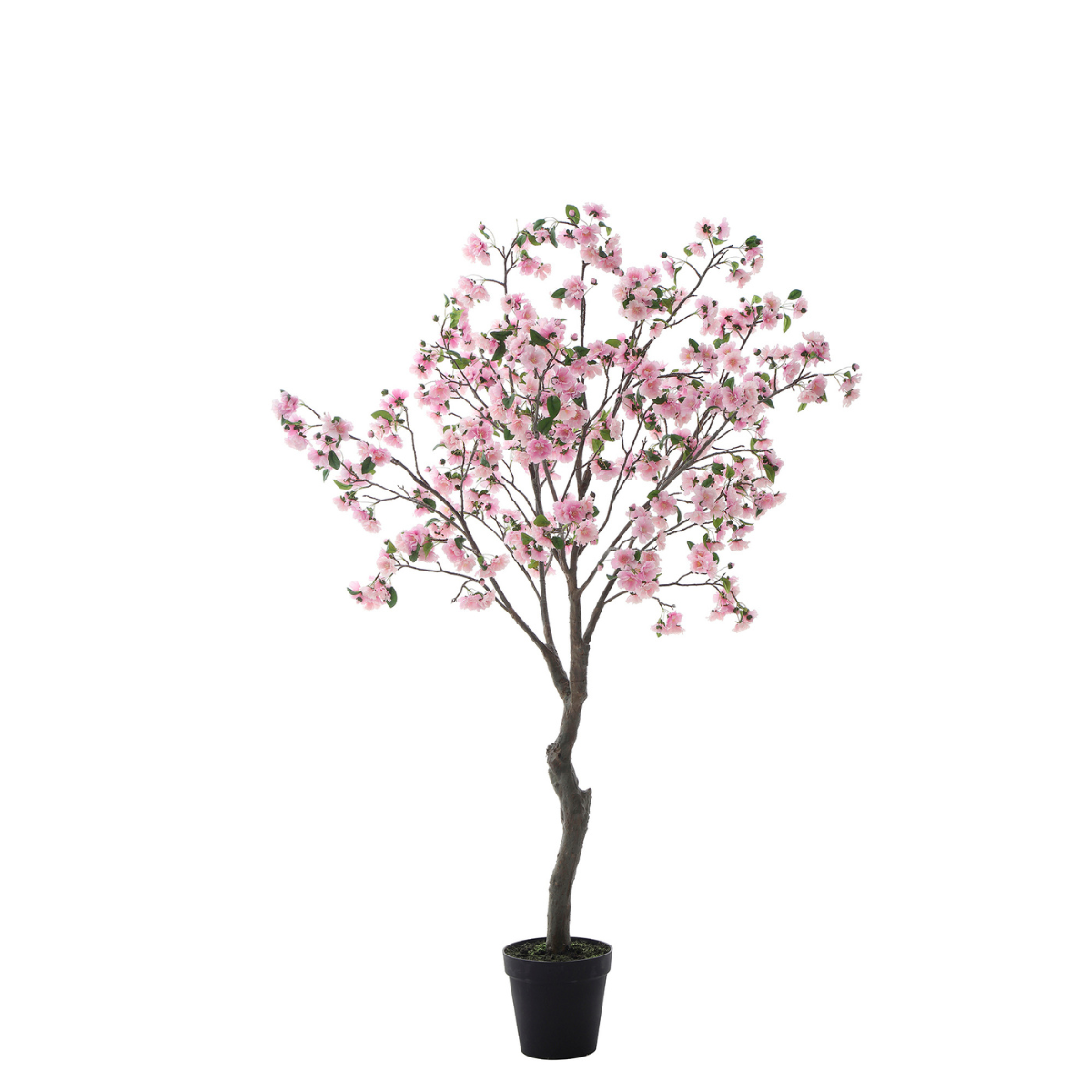 Sia Home Cerisier en fleurs en pot 210 cm arbre rose