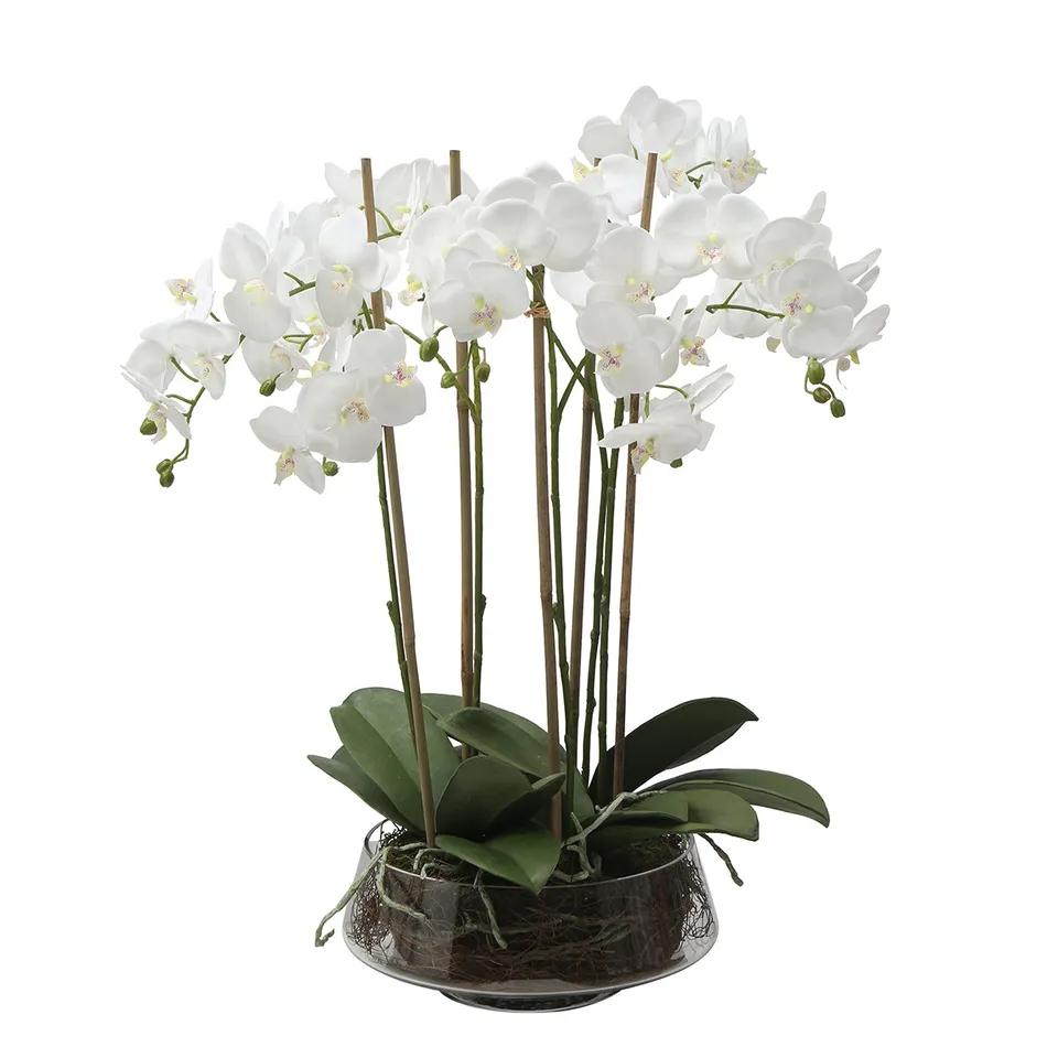 Sia Lena composition orchidée artificielle blanc 72 cm