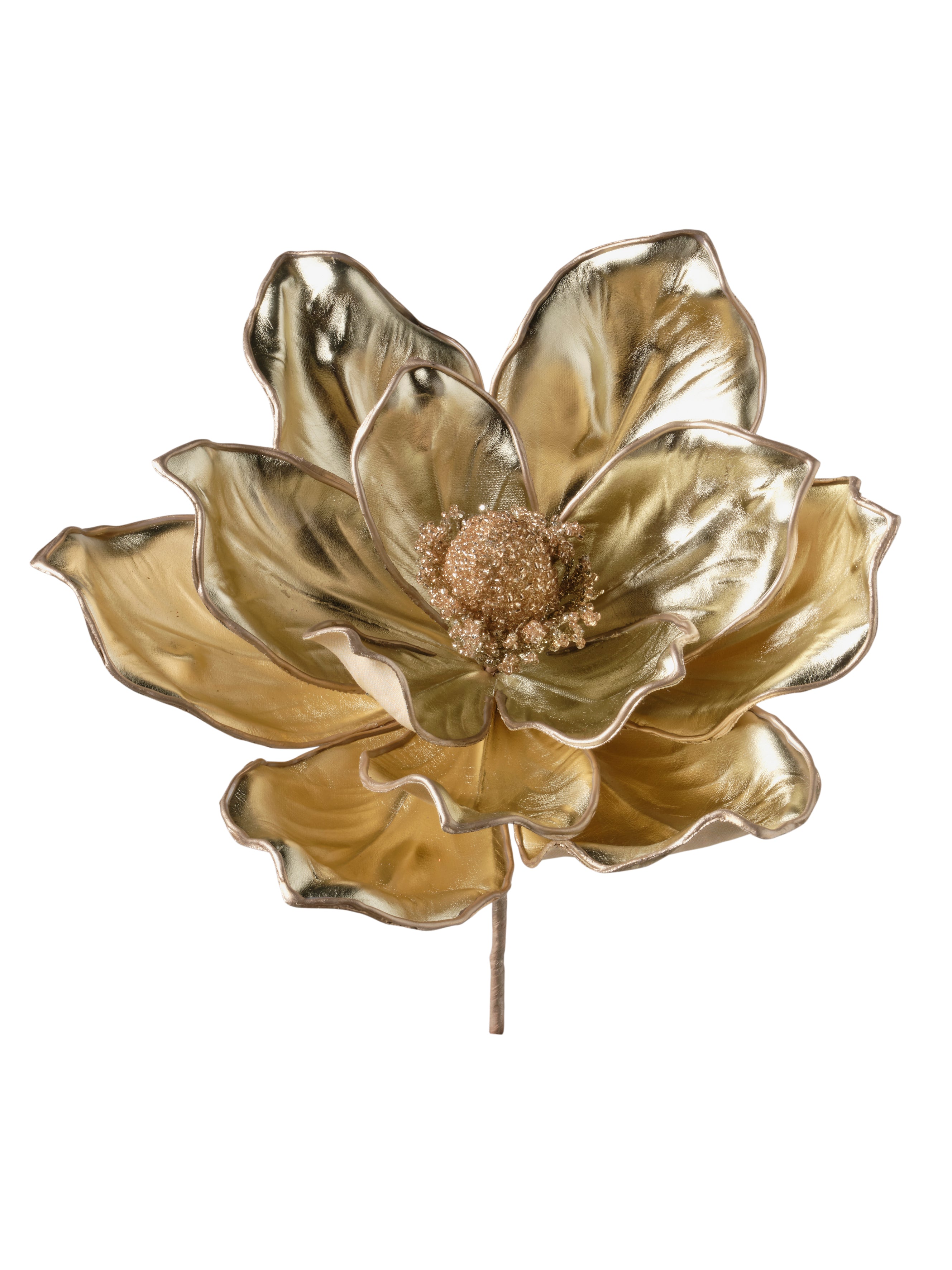 Feuillazur Rungis Produits de saison Tige de magnolia fleur champagne 25cm