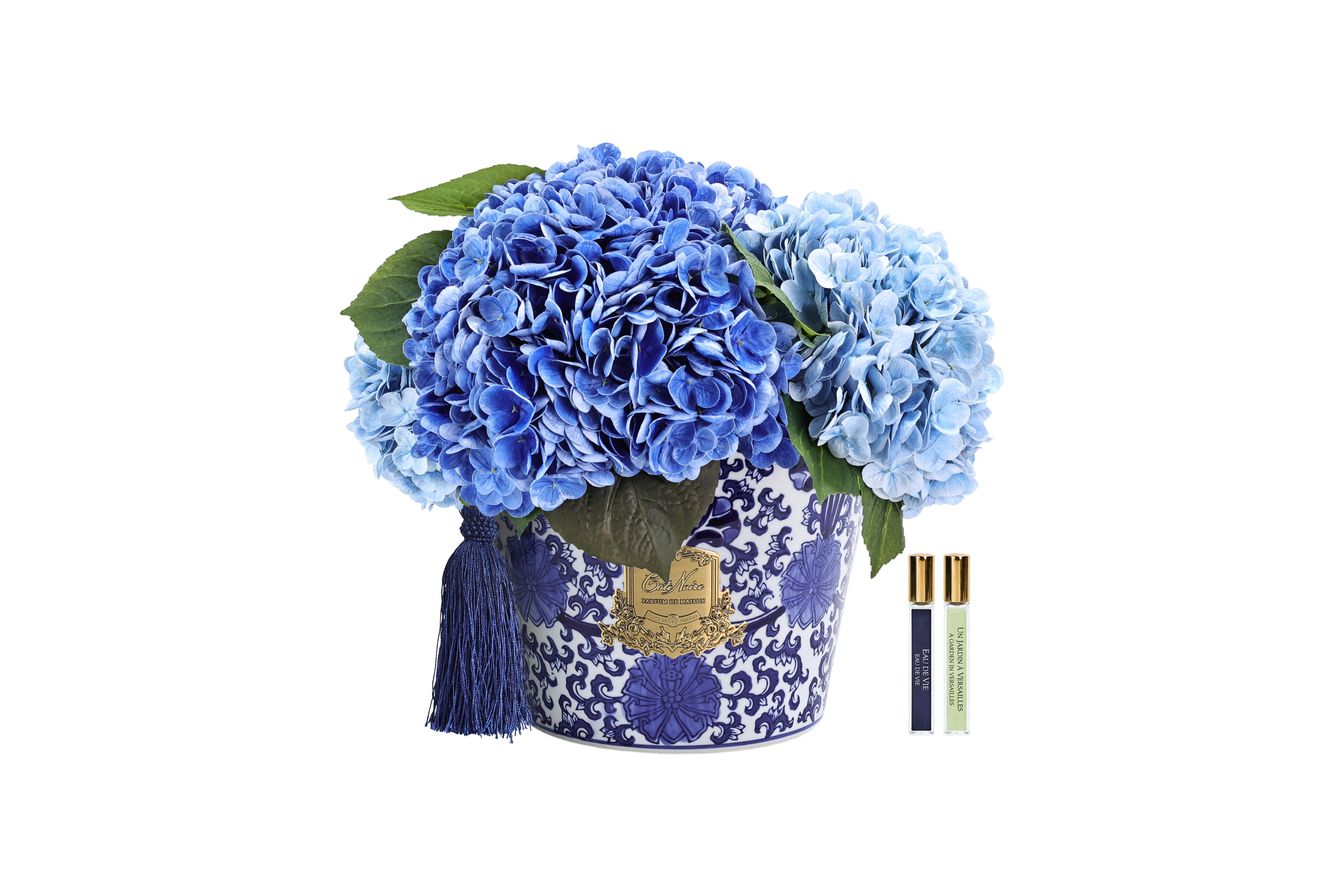 Côte Noire Hydrangeas OH03 bouquet hortensia bleu mixte