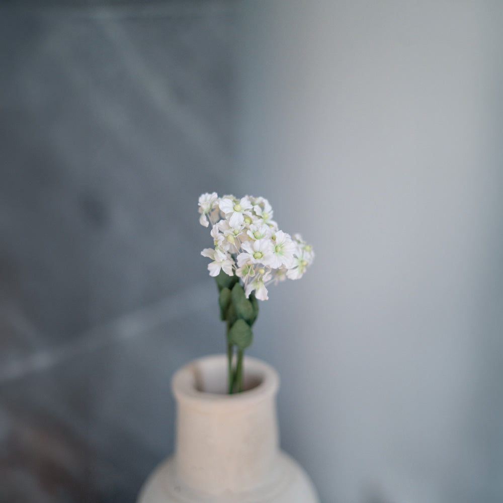 Flowrette Scaévola fleur en papier blanc x1 éventail