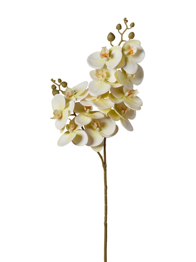 Feuillazur Rungis orchidée fleur artificielle blanche 74cm