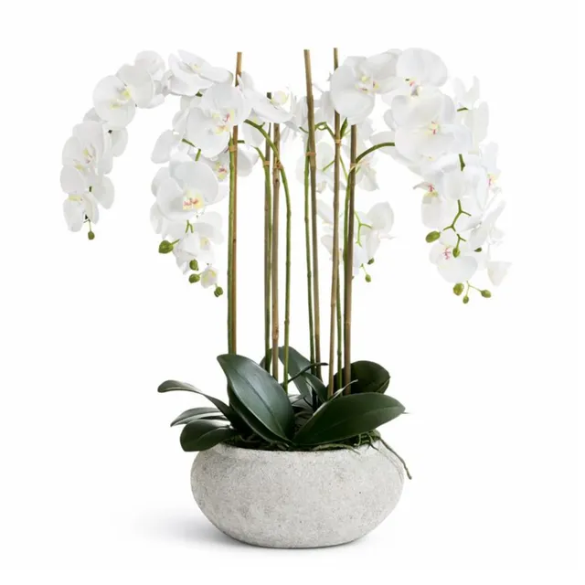 Sia Serena 85 cm composition orchidée blanche vase céramique