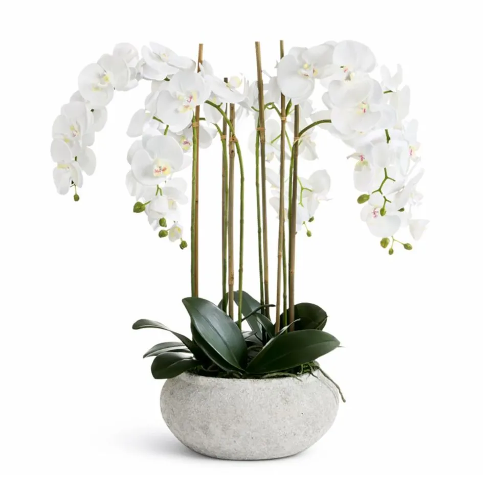Sia Serena 85 cm composition orchidée blanche vase céramique