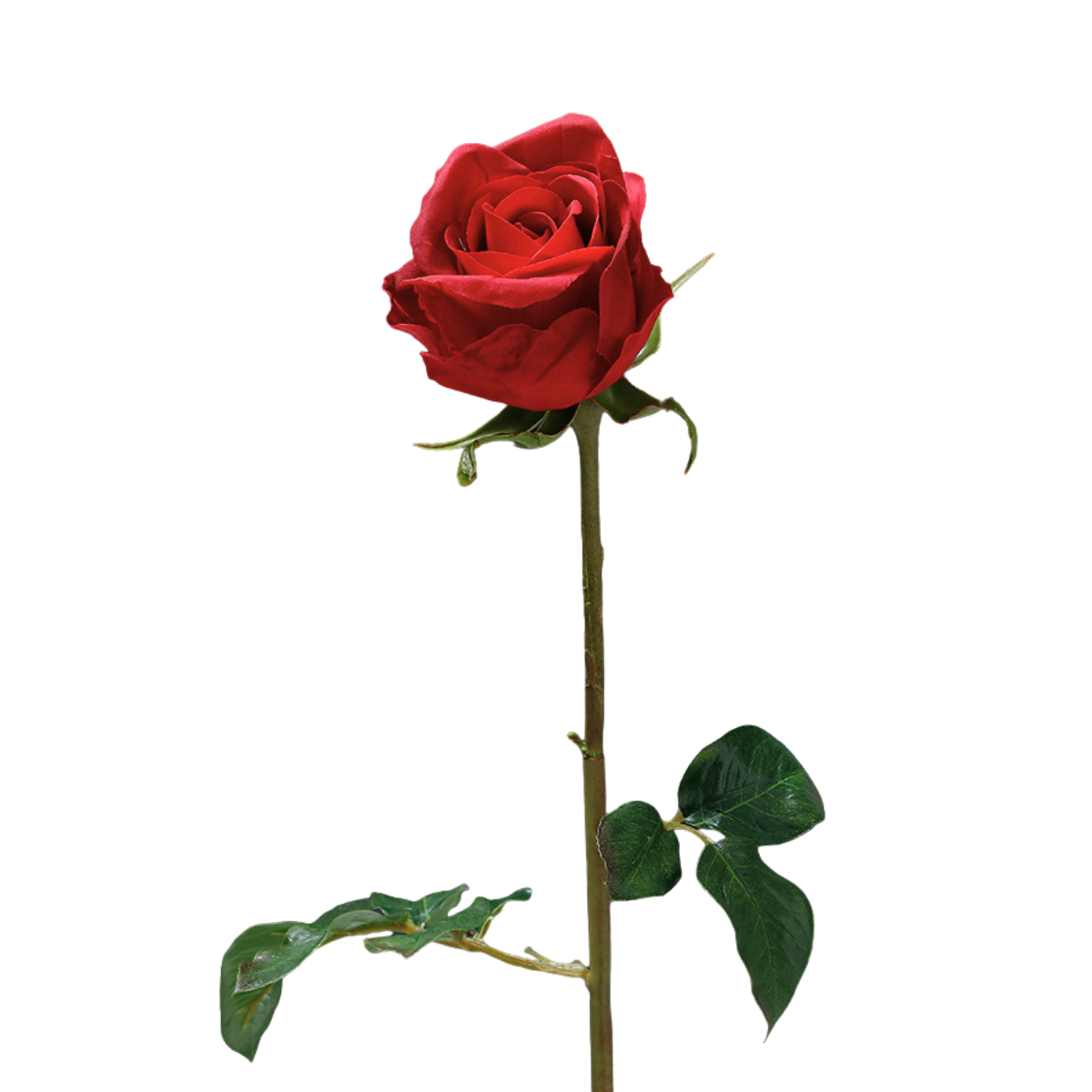 Sia Home Dutchess tige rose 50 cm rouge premium