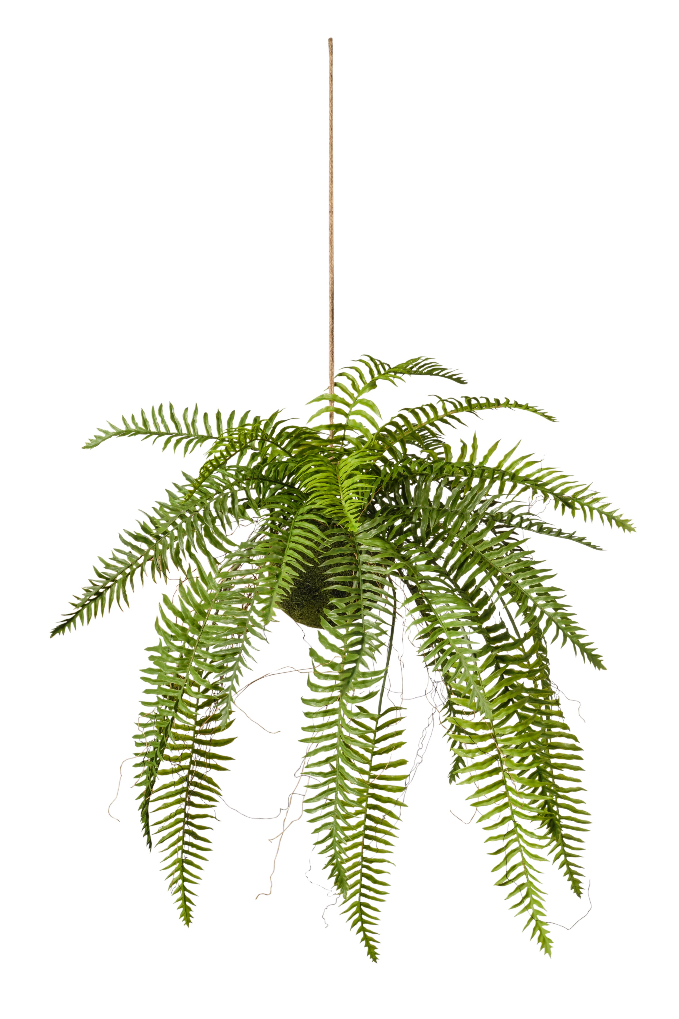 Feuillazur Rungis fern plante artificielle verte 45x45x99cm