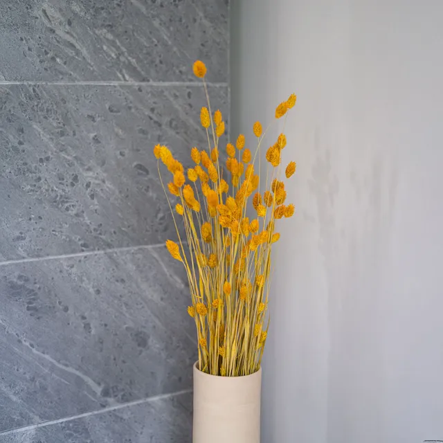 Flowrette Fleurs séchées Phalaris botte jaune x1