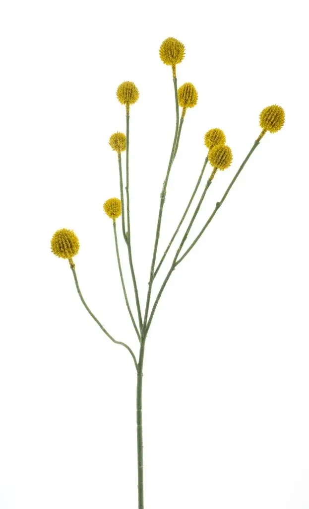 Feuillazur Rungis craspedia branche artificielle jaune 83cm