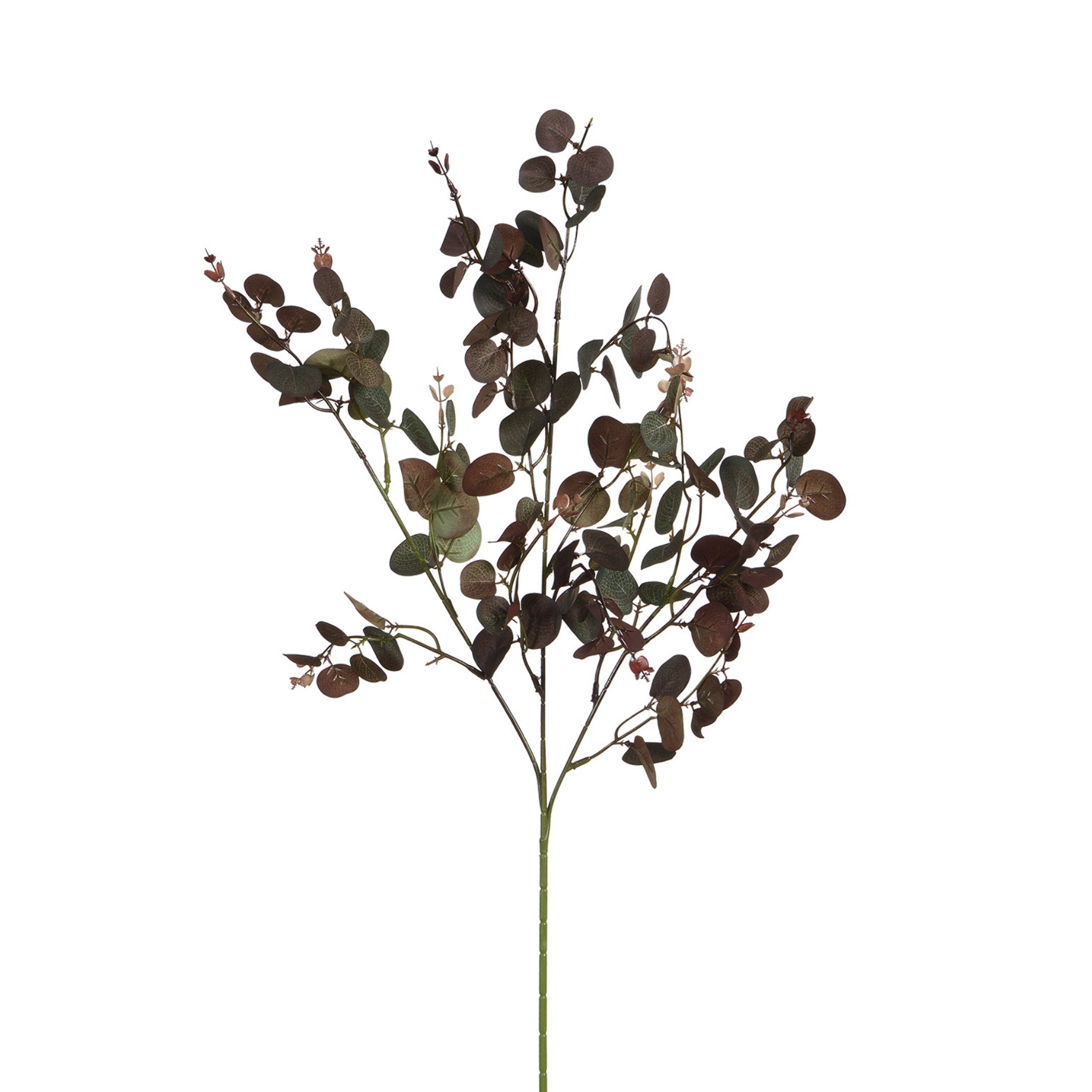 Sia Home Feuillages Eucalyptus 80cm feuillage artificiel vert