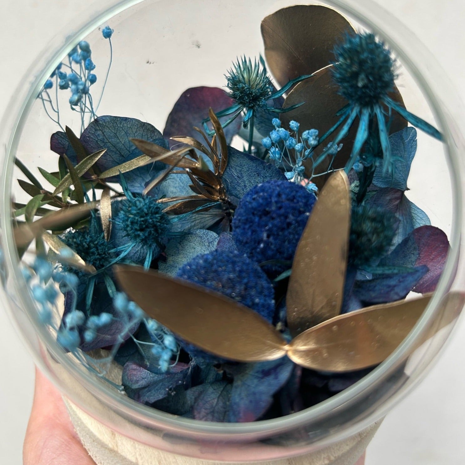 Ateliers Ouchamp Bulles Rue Brézin bulle fleurs stabilisées S hortensia
