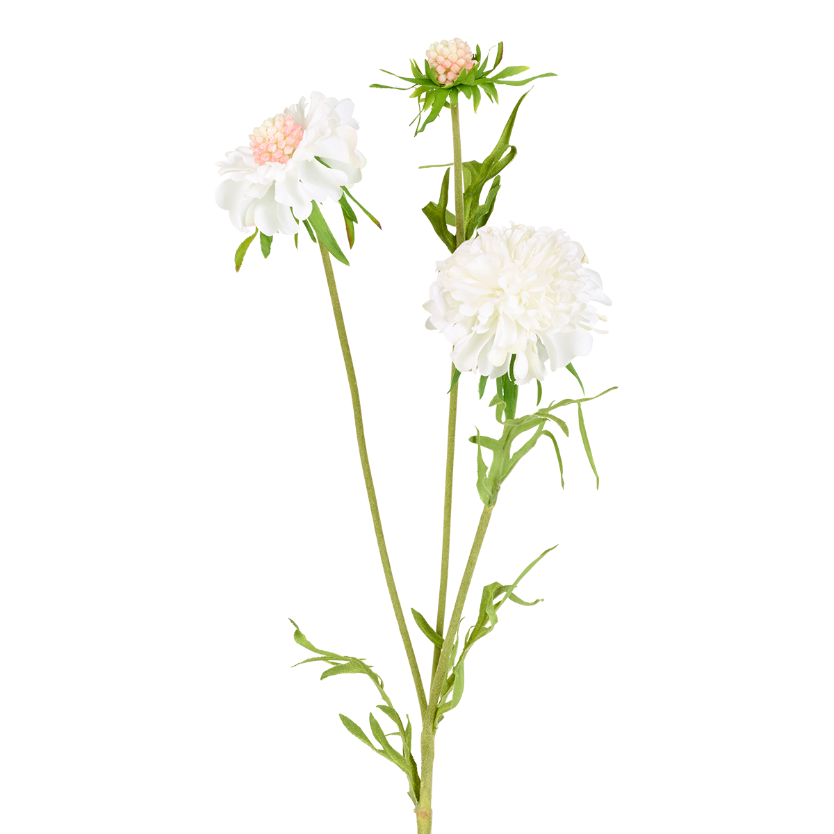 Sia Scabiosa tige fleur artificielle 59 cm blanc