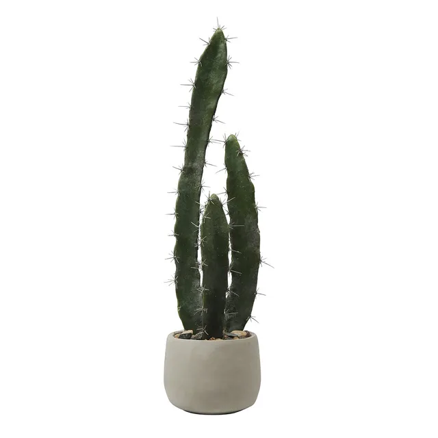 Sia Home Cactus plante artificielle verte pot céramique 64 cm