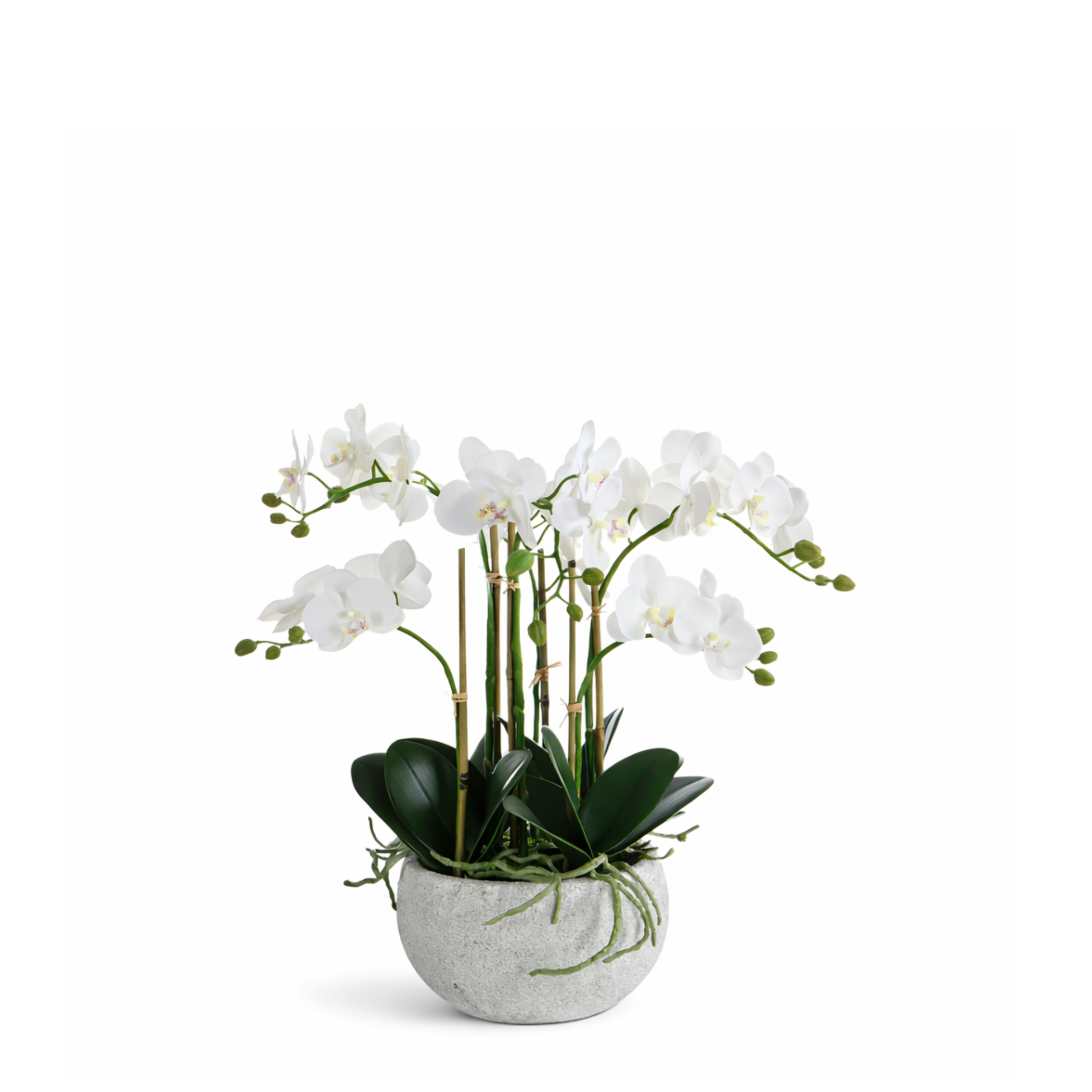 Sia Home Séréna Composition Orchidée Blanc 45 cm Pot