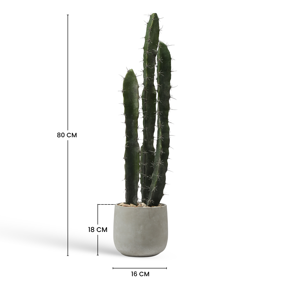 Sia Home Plantes en Pot Cactus 80 cm plante verte pot gris