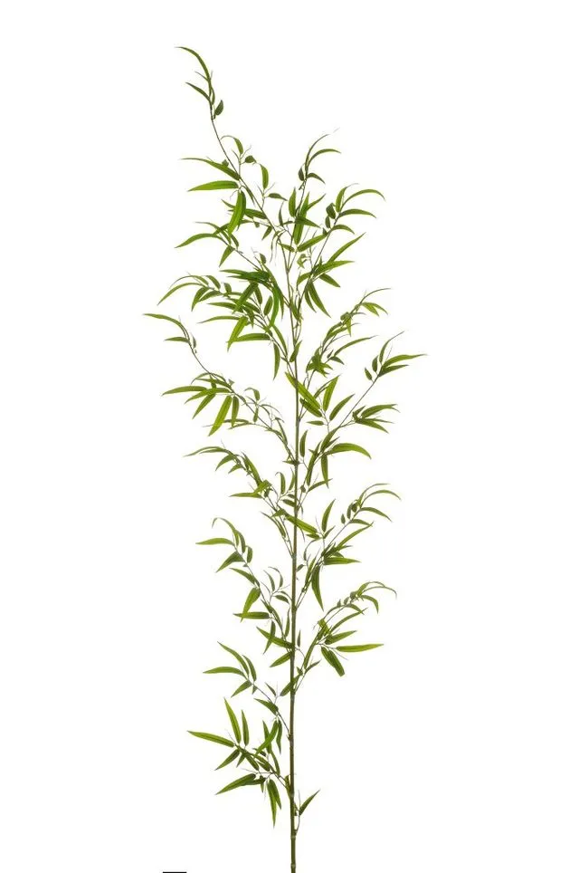 Feuillazur Rungis Branche de bamboo feuillage artificiel vert 190cm