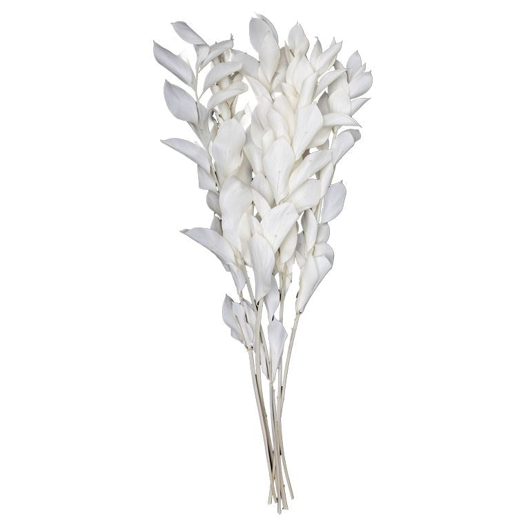 Feuillazur Rungis Ruscus Feuillage Stabilisé Vert 80cm Sans Entretien