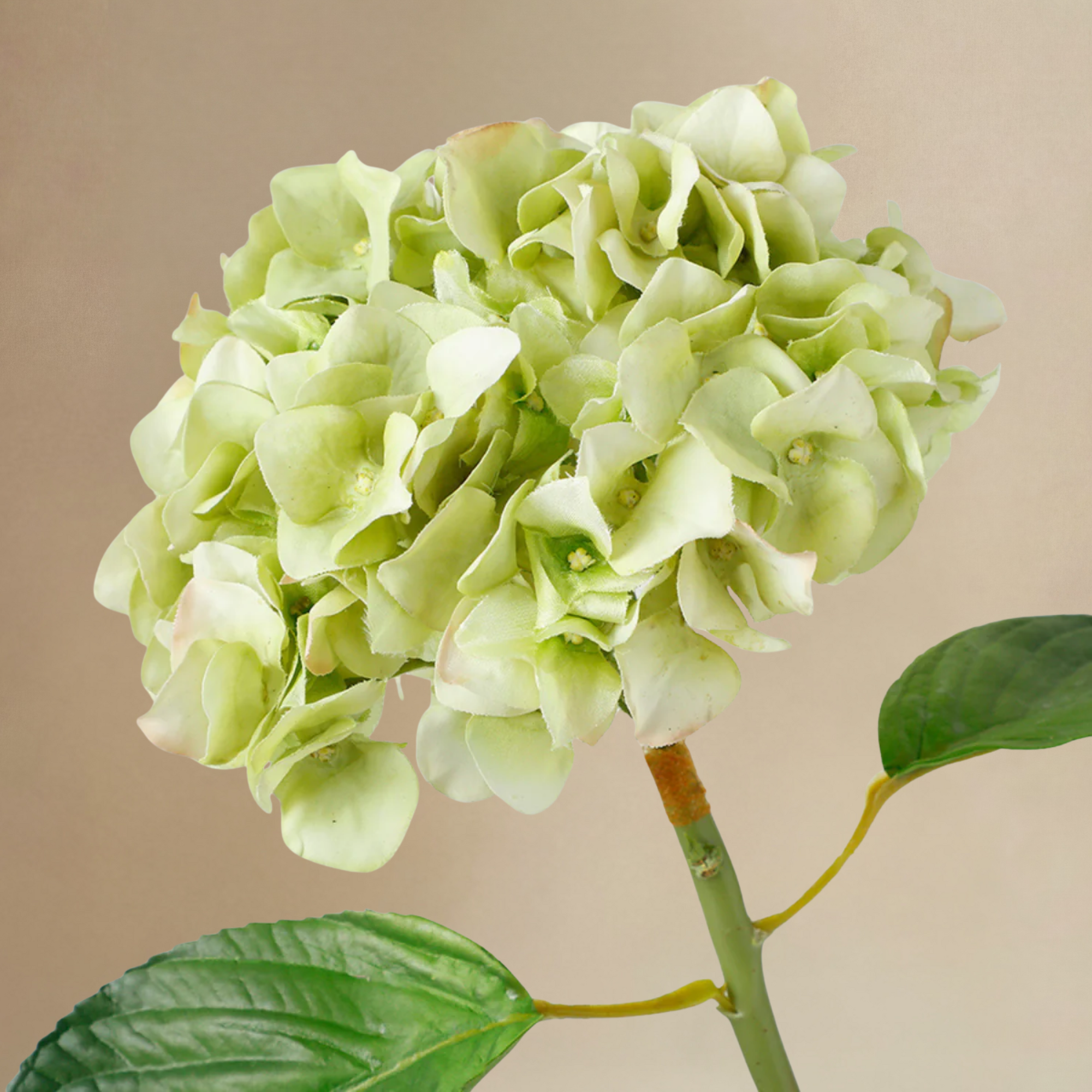 Sia Home Élora bouquet hortensias artificiel blanc 7 tiges