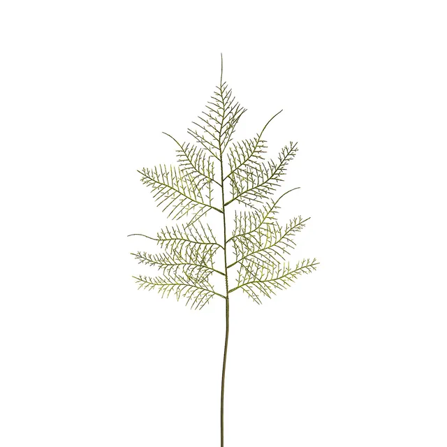 Sia Home Asparagus tige feuillage artificiel vert 62 cm