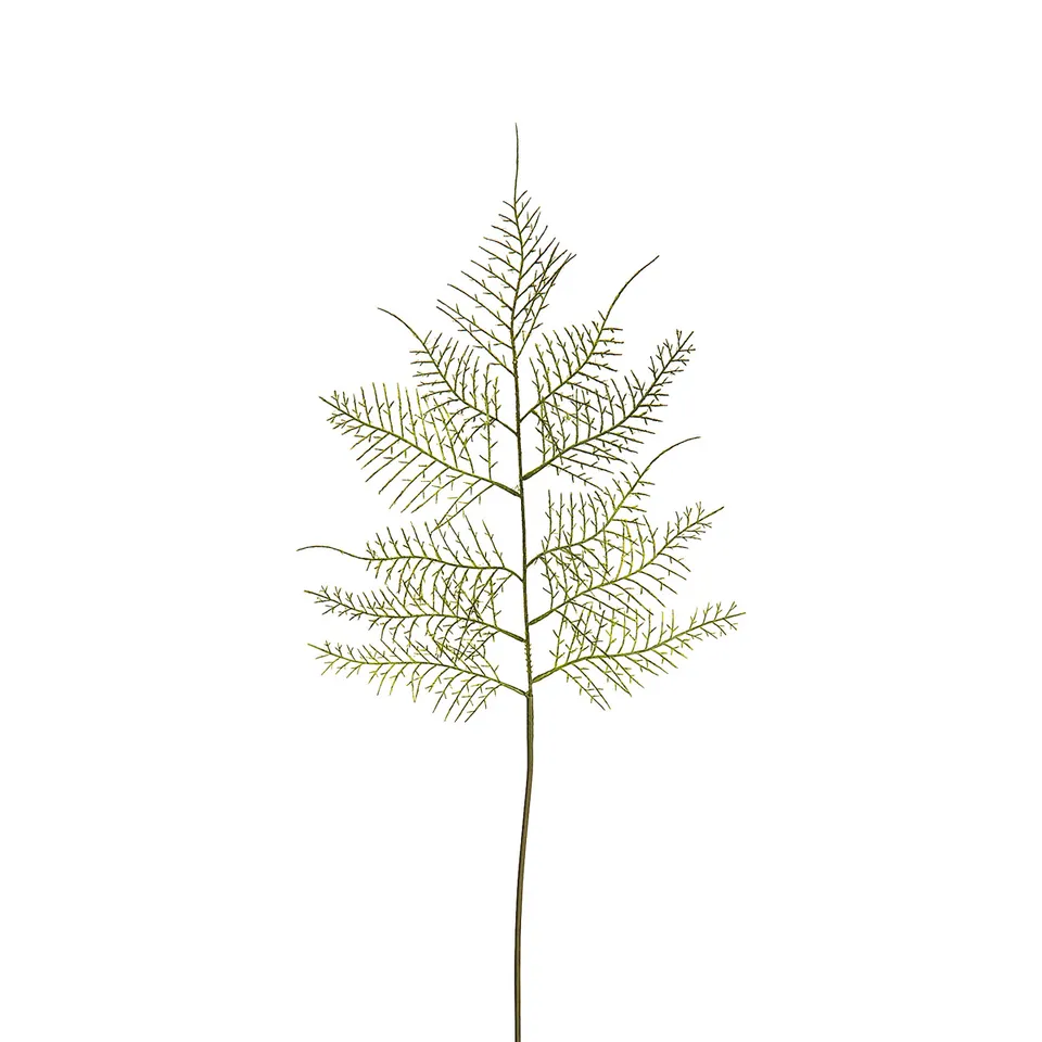 Sia Home Asparagus tige feuillage artificiel vert 62 cm