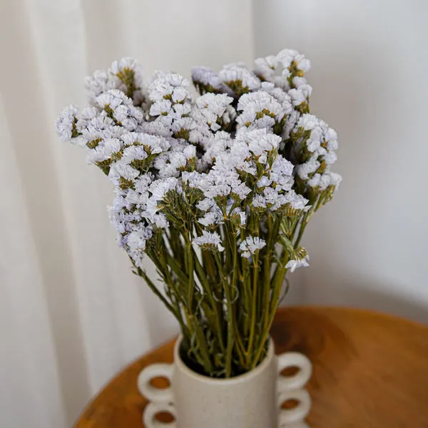 Flowrette Fleurs séchées Statice Sinuata botte violet clair