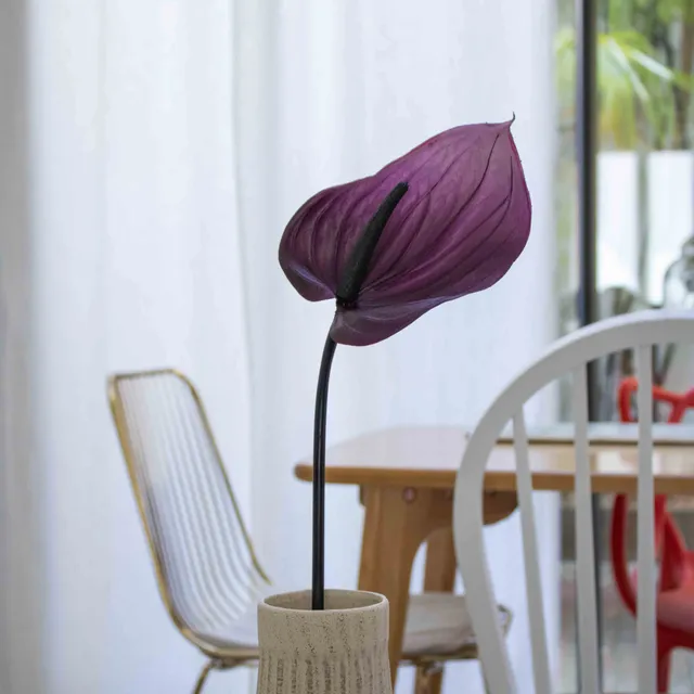 Flowrette Anthurium violet fleur artificielle tige x1