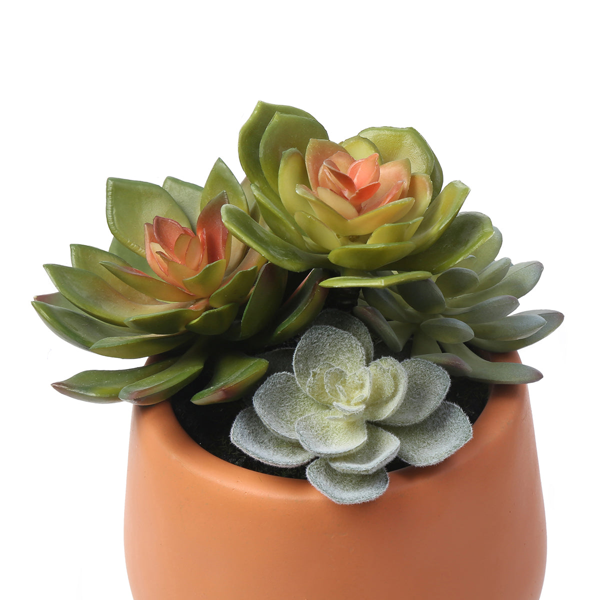 Sia Home Succulente plante artificielle vert pot 7 cm