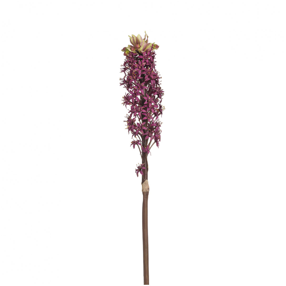 Sia Home Tige Lis Ananas fleur bordeaux 90 cm